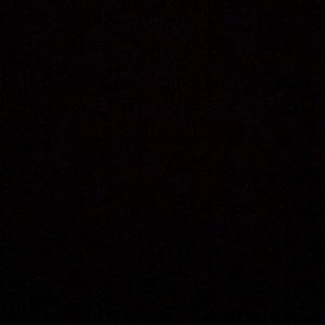 Meet your Posher, Ernesto